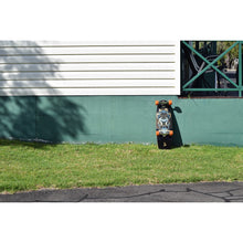 Load image into Gallery viewer, Surfeeling USA Mr. Pop Graphic Series Skateboard
