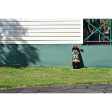 Carregar imagem no visualizador da galeria, Surfeeling USA Mr. Pop Graphic Series Skateboard